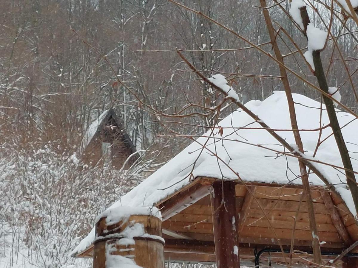 Holiday Bungalows Pajkovir 科拉欣 外观 照片