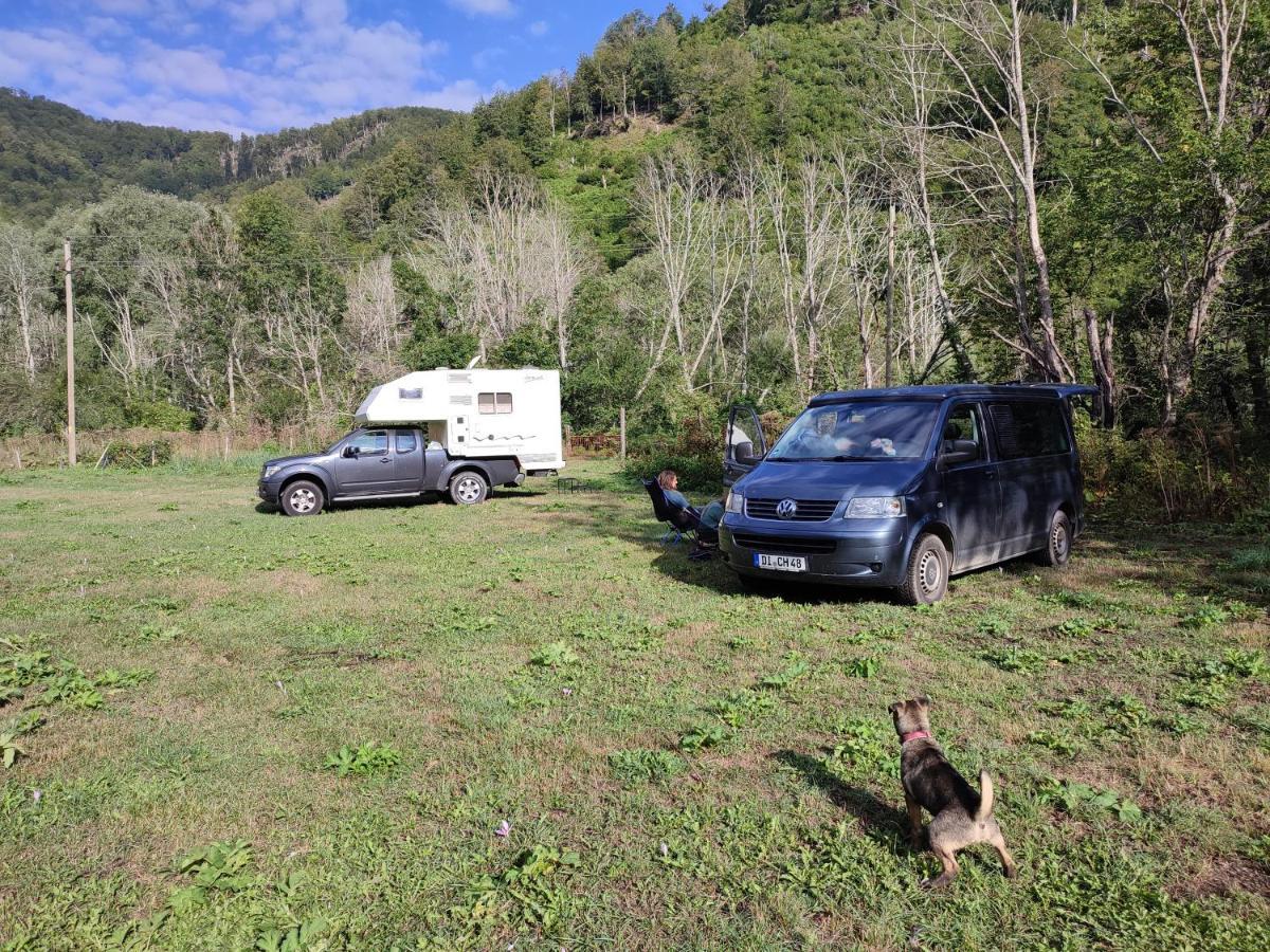 Holiday Bungalows Pajkovir 科拉欣 外观 照片